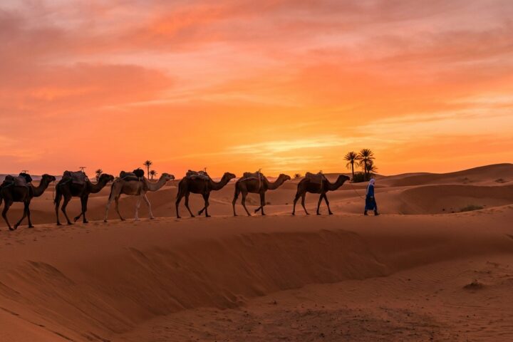 Coucher de soleil à dos de dromadaire