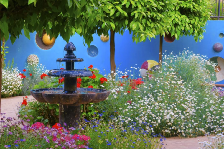 Visite du jardin Anima, sur la route de l&rsquo;Ourika